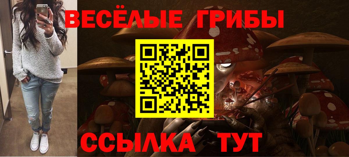 Галлюциногенные грибы Psilocybe  Вход с VPN  Чита 